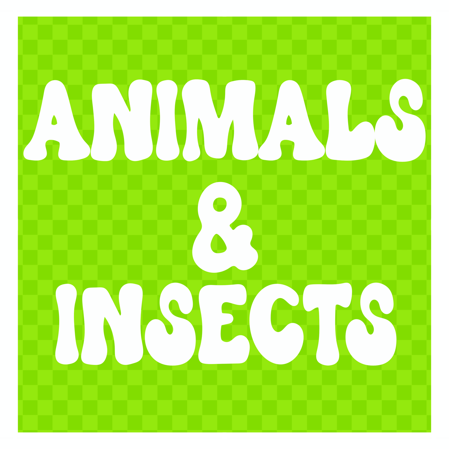 Animals & Insects